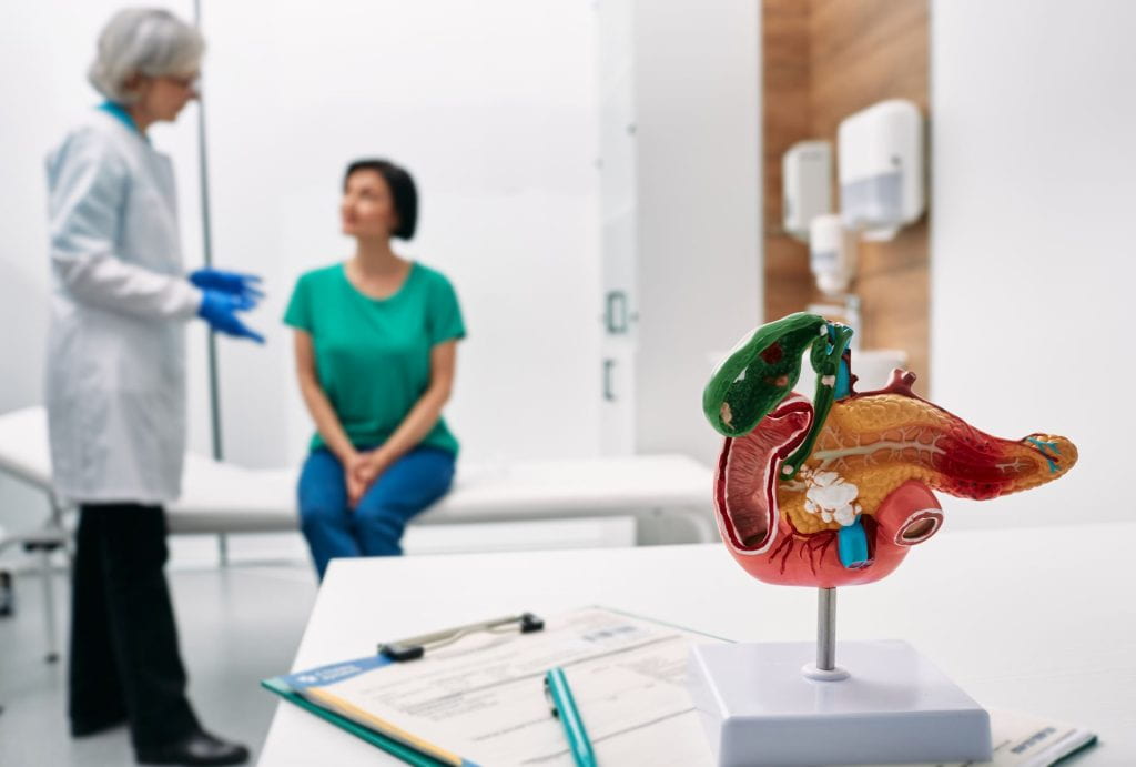Clinician and patient having a gastroenterolgy consult; in the foreground is an anatomical model and of pancreas